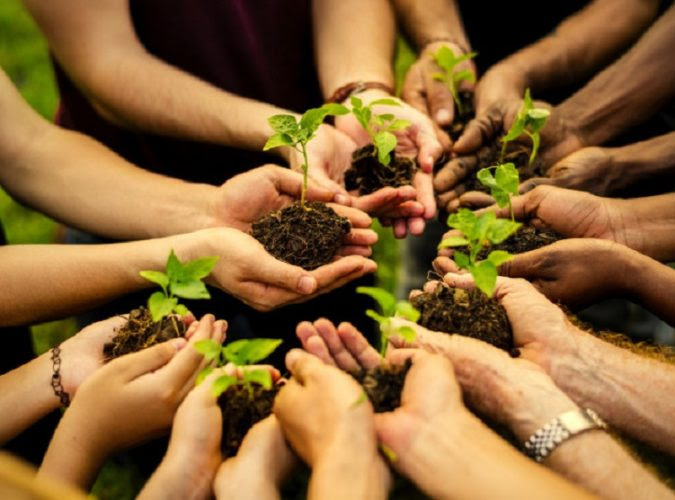 Capacitación en perspectiva ambiental