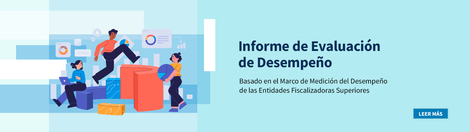 evaluación de desempeño