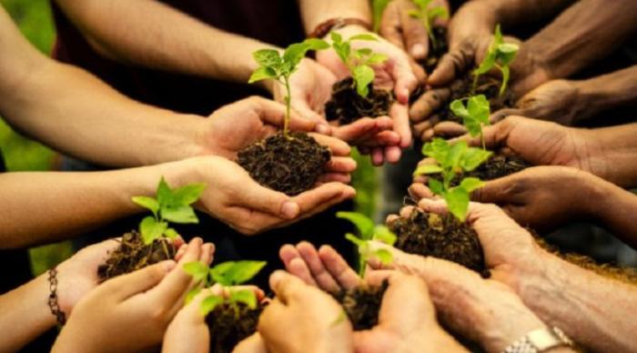 Capacitación en perspectiva ambiental